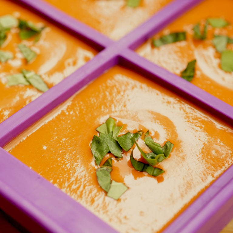 Soup Master 6-Cup Freezer Container for Meal Prep